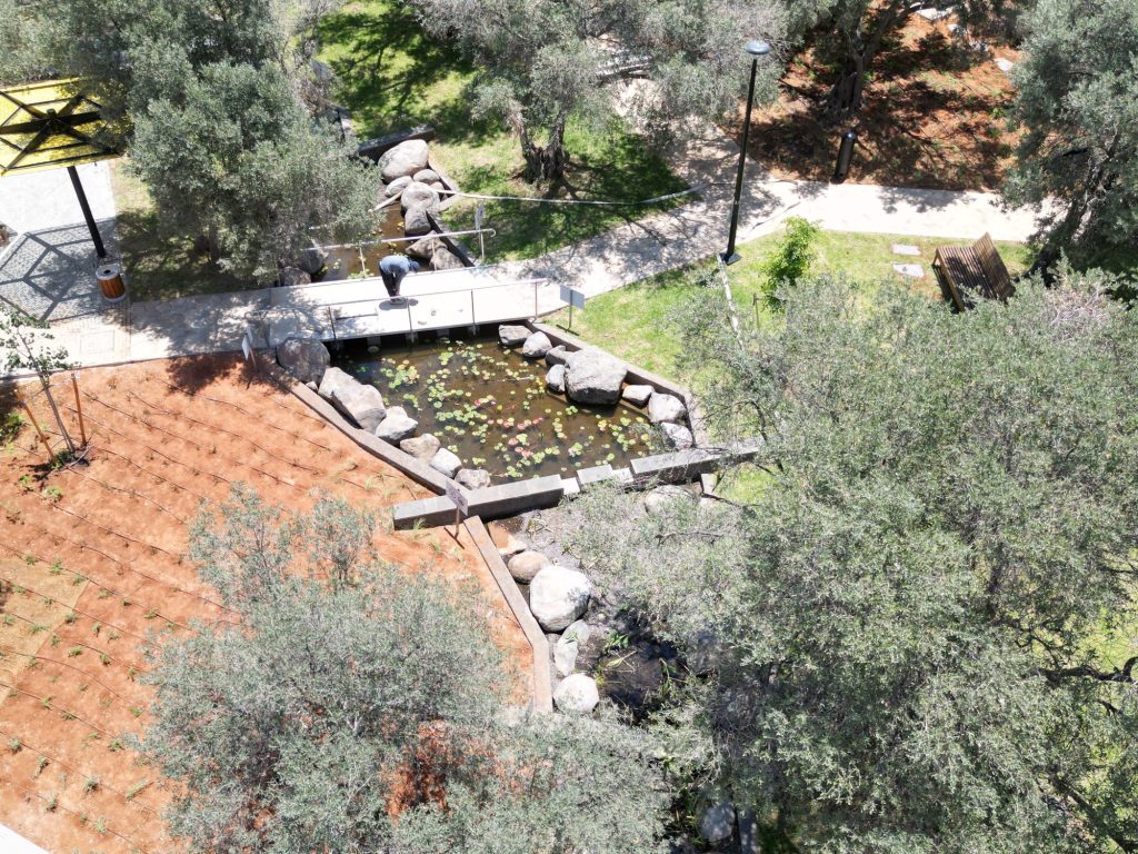 פארק לאה גולדברג — תמונה 3