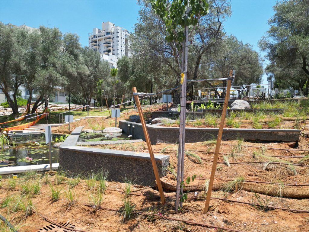 פארק לאה גולדברג — תמונה 14