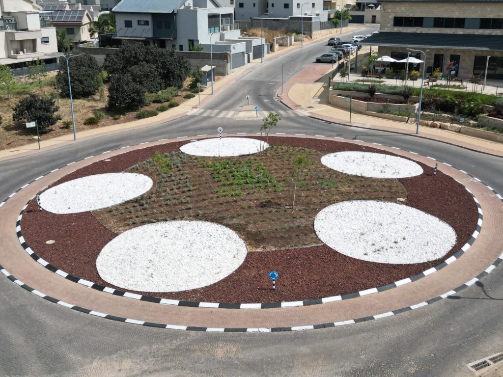 שיפור פני העיר — תמונה 2